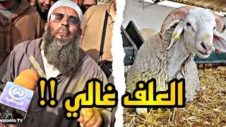 العلف غالي 🤔