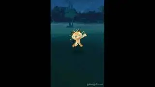 Meowth is lonely