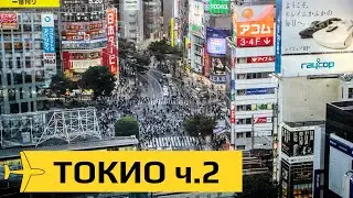 Токио: как развлекаются местные