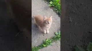 #рассказыдлядетей