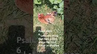 Ecclesiastes 3:11 (KJV)