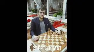 Шахматы. Спёртый мат #chess #shorts