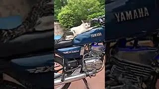 Modified Yamaha Rx135