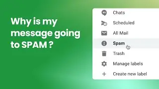 Why your email is going to the SPAM folder (and how to fix it!)