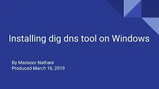 Install dig DNS tool on Windows