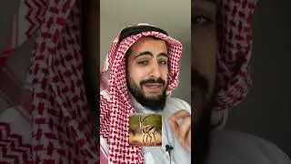 Поговорка на арабском языке
