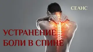 Устранение болей в спине за 5 минут. Почему нельзя терпеть боль.
