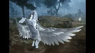 Pegasus Trailer ||  Black Desert Online