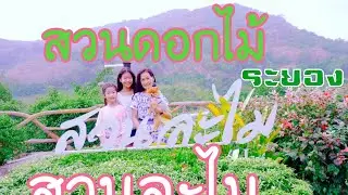 ท่องเที่ยวทุ่งดอกไม้ที่สวนละไมจังหวัดระยอง