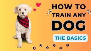 Easy Dog Training: A Quick Guide For Busy Dog Owners To Start Training Their Dog