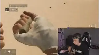 😧 Какие собаки?