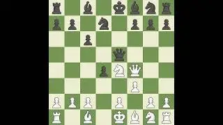 Vogler Tilmann (GER) VS Werner Dimo (GER)