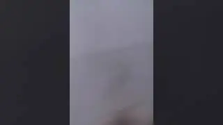 коты смешные