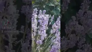 Ворога поборемо! Беремо та робимо!