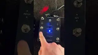 My Acoustic Worship rig - HX Stomp and 