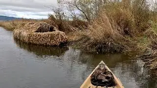 First Solo Limit from the Duck Boat Blind