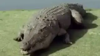 oh no