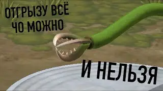 Эволюция ли?