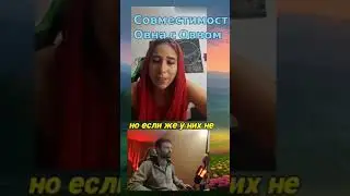 Совместимость Овна и Овна