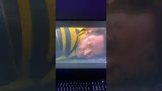 My Thoughts On DeadPool and Wolverine Trailer 