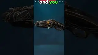 5 Most Rare Items in Valorant
