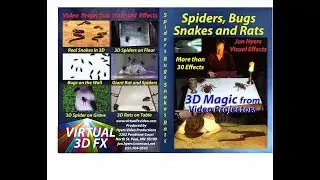 SpideSnake2018demo