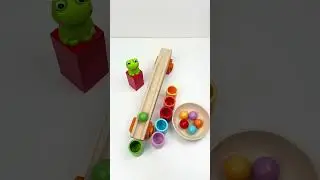 Marble Run ASMR #satisfying #asmr #marblerun #toys