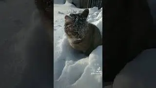 зима в деревне # мыдеревенские