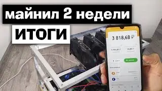 МАЙНИНГ НА 1660 SUPER ИТОГИ ДВУХ НЕДЕЛЬ