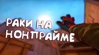 РАКИ НА НОН ПРАЙМЕ (CS:GO)