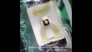 Double tap this video if you like these cool tech videos   #shorts #technology #tech