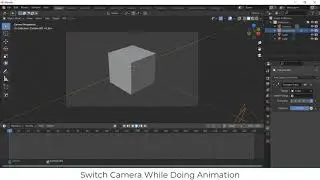 Switch camera while animation in blender