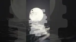 Sevgi ile ilgili ayetler