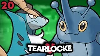 VENTUNESIMA RUN PIENA di POKÉMON LOTTA! | Pokémon Y Tearlocke