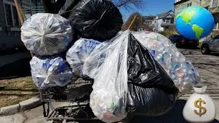 Cans, Cash, Community | Can Haul | Passive Can Collecting