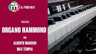 Hammond: 