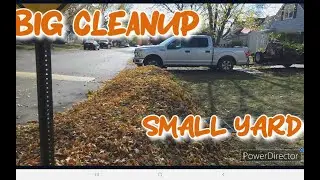 Biggest Small Yard Cleanup I Have Ever Done!!  #lawncare #toroeeyewear #cleanup