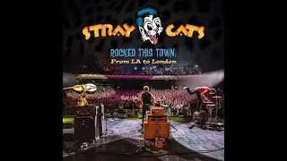 Stray Cats 