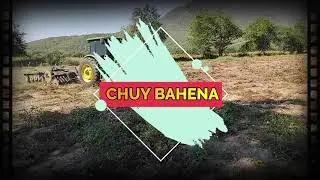 Sacando hijuelos en cultivo de 3 años