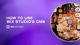 Unlocking the Power of Wix Studio CMS: Organize Your Content Like a Pro!