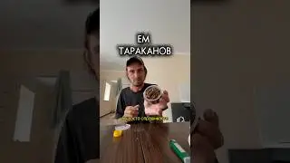 ТЫ НЕ ТЫ, КОГДА ГОЛОДЕН #блог #влог #путешествие #обзор #еда