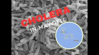 Cholera in Mayotte