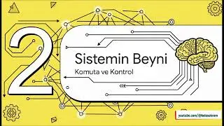Endüstriyel Otomasyon: Hareket Kontrolünün Sırları