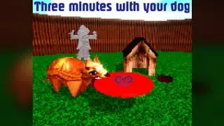 3 minutes with your dog