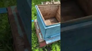 A find at the apiary!!! An old 12-frame Dadan hive 