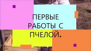 Работа с нуждающимися в пересадке семьями.