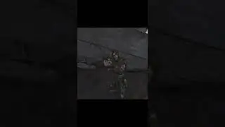 Objective: Survive | STALKER 