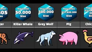 Comparison: Animal Populations