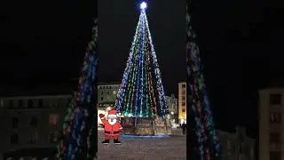 Новогодняя елка. 