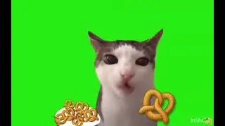Кот ест бублики (мем)
